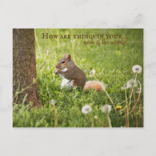 Van mijn nek van de Bossen tot uw Briefkaart