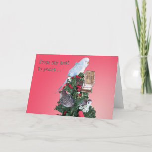 Van Mijn Nest Feestdagen Kaart