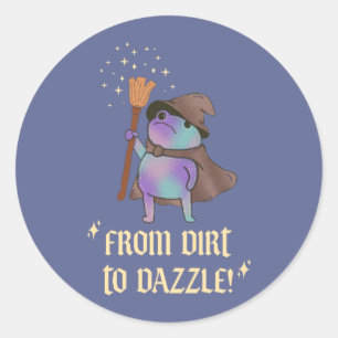 Van modder tot schittering Funny Wizard Kikker Hek Ronde Sticker