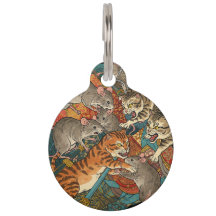 Van muizen en katten