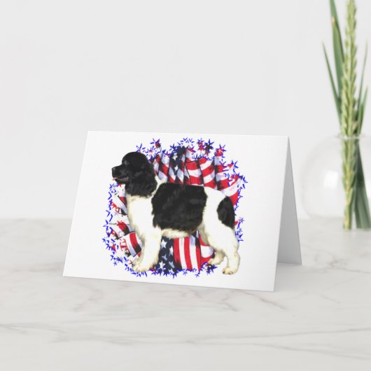 Van Newfoundland (landseer) de Patriot Kaart (Voorkant)