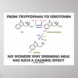 Van Tryptofaan aan Serotonine (de Humor van de Poster