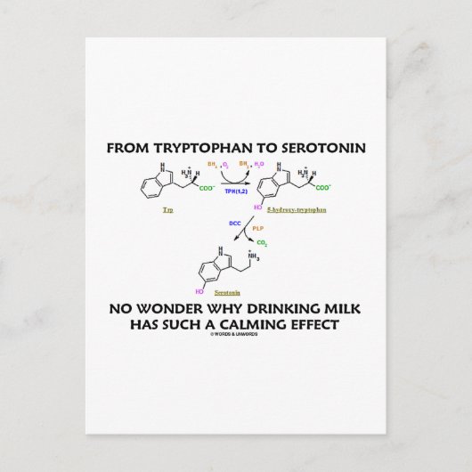 Van tryptofaan tot serotonine (chemie-Humor) Briefkaart (Voorkant)