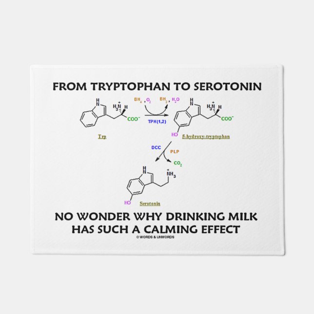 Van tryptofaan tot serotonine-melkkalkkingeffect deurmat (Voorkant)