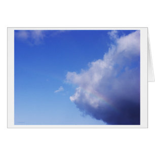 van varkens en regenbogen