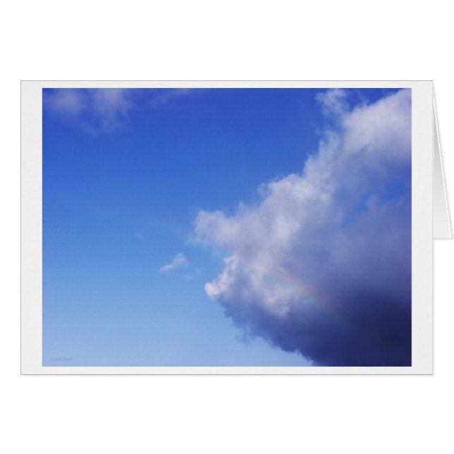 van varkens en regenbogen (Voorkant Horizontaal)