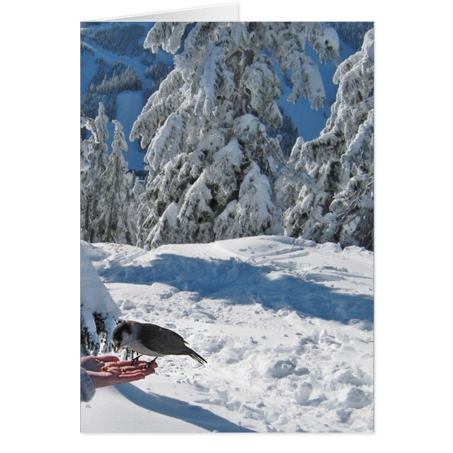 Vancouver, BC, Canada Card (Voorkant)