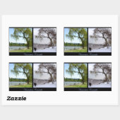 Vancouver Canada Sticker Vancouver Landscape Gifts (Vel)