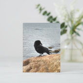 Vancouver Crow Briefkaart (Staand voorkant)