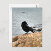 Vancouver Crow Briefkaart (Voorkant / Achterkant)