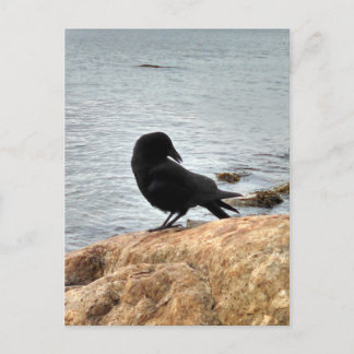 Vancouver Crow Briefkaart