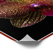 Vanda Orchids Poster (Hoek)