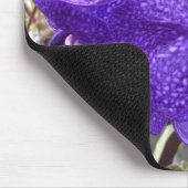 Vanda Pachara Orchid Muismat (Hoek)