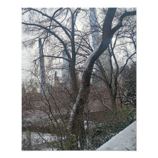 Vandaag in Central Park New York City Foto Afdruk