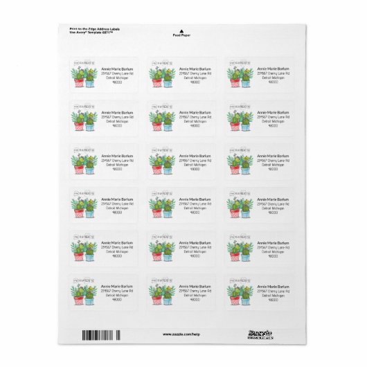 Vandaag is het een geweldige dag dat vlindercactus etiket (Full Sheet)