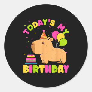 Vandaag is het mijn verjaardag Meisjes Capybara li Ronde Sticker
