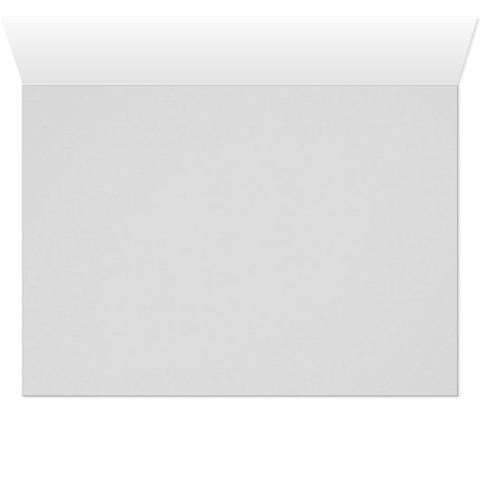 Vanderbilt Mansion in Winter (Binenzijde Horizontaal (Onderkant))