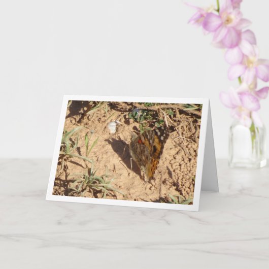 Vanessa cardui - Carte à papillon de la Dame peint (Orchidée)