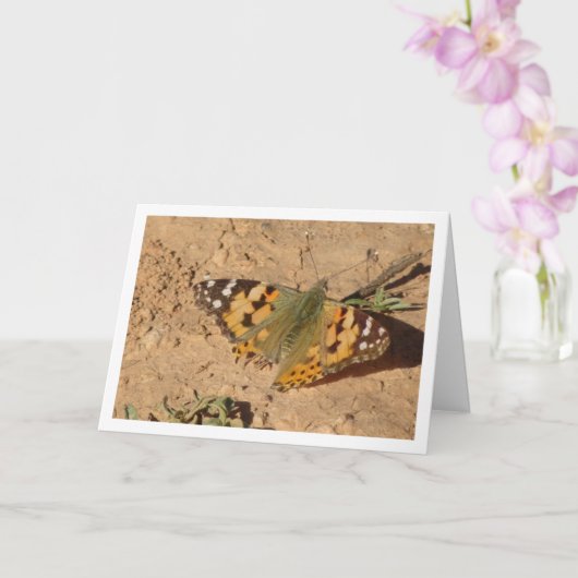 Vanessa cardui - Carte à papillon de la Dame peint (Orchidée)