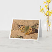 Vanessa cardui - Carte à papillon de la Dame peint (Fleur jaune)