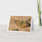 Vanessa cardui - Carte à papillon de la Dame peint (Devant)