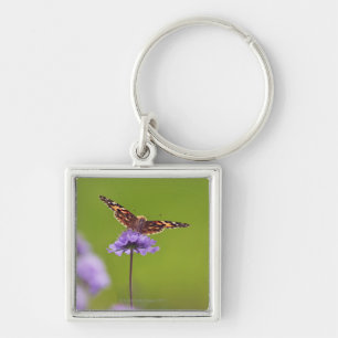vanessa cardui - Europa, Duitsland, Beieren, Sleutelhanger