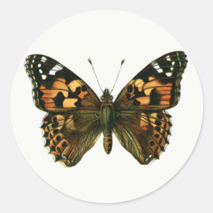 Vanessa cardui - The Painted Lady Butterfly Keycha Ronde Sticker