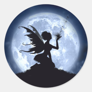 Vang een vallende ster Stickers