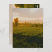 Vang Vieng - Laos  Briefkaart (Voorkant / Achterkant)