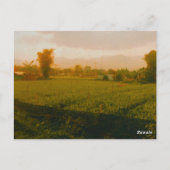 Vang Vieng - Laos  Briefkaart (Achterkant)