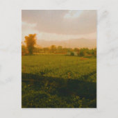 Vang Vieng - Laos  Briefkaart (Voorkant)