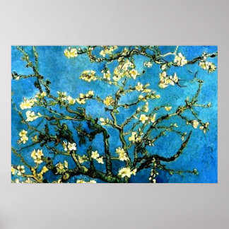 VanGogh Amandelboom BloesemSometimes Poster