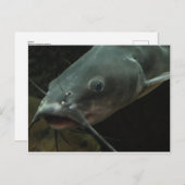 Vangst Briefkaart (Voorkant / Achterkant)