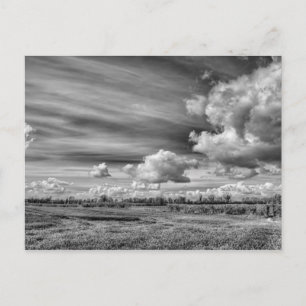 Vangstwolken (zwart-wit) briefkaart