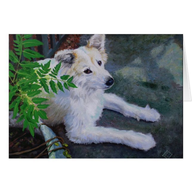 Vanilla Bean (Devant horizontal)