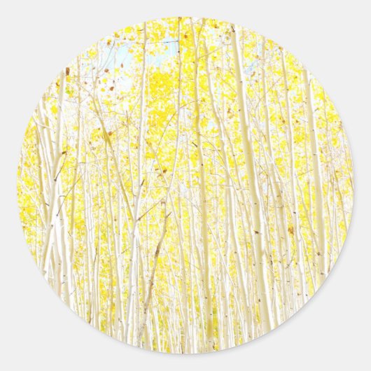 Vanilla Cake Aspen-bomen Ronde Sticker (Voorkant)