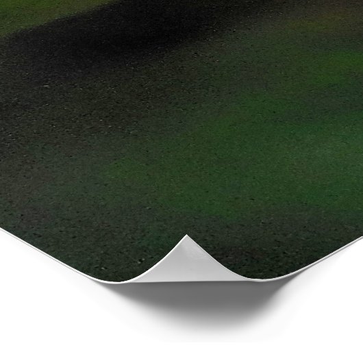 Vanilla Orchid Poster (Hoek)