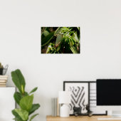 Vanilla Plant Orchids Afbeelding Poster (Thuiskantoor)