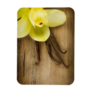 Vanilla Pods and Flower over Wooden Background Magneet