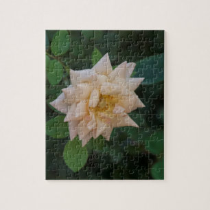 Vanilla Roos Legpuzzel