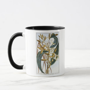 vanillespeulen, bord 65, van 'Collectie edele euse Mok