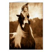 Vanner Tsigane (Devant)