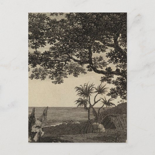 Vanuatu 3 briefkaart (Voorkant)