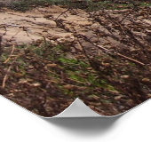 Vanuit het pad kijken (Del Mar) Poster (Hoek)