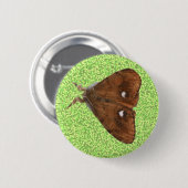 Vapourer Moth Button (Voorkant /achterkant)