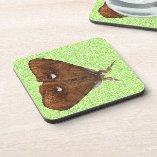 Vapourer Moth Cork Dessous de verre (Côté gauche)