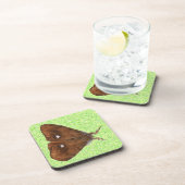 Vapourer Moth Cork Dessous de verre (Côté Droit)