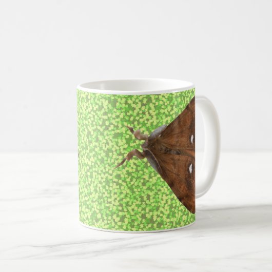 Vapourer Moth Mok (Voorkant rechts)