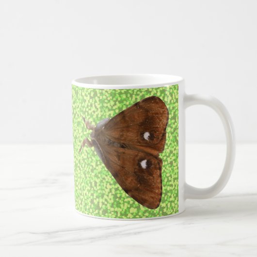 Vapourer Moth Mok (Rechts)