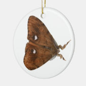 Vapourer Moth Ornament (Links)